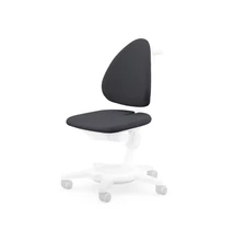 Maximo karpit anthracite
