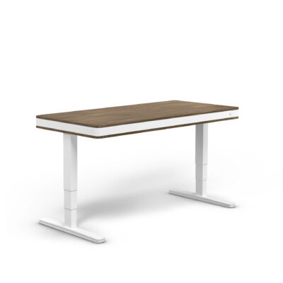 moll T7 XL exclusive íróasztal-dio-fehér